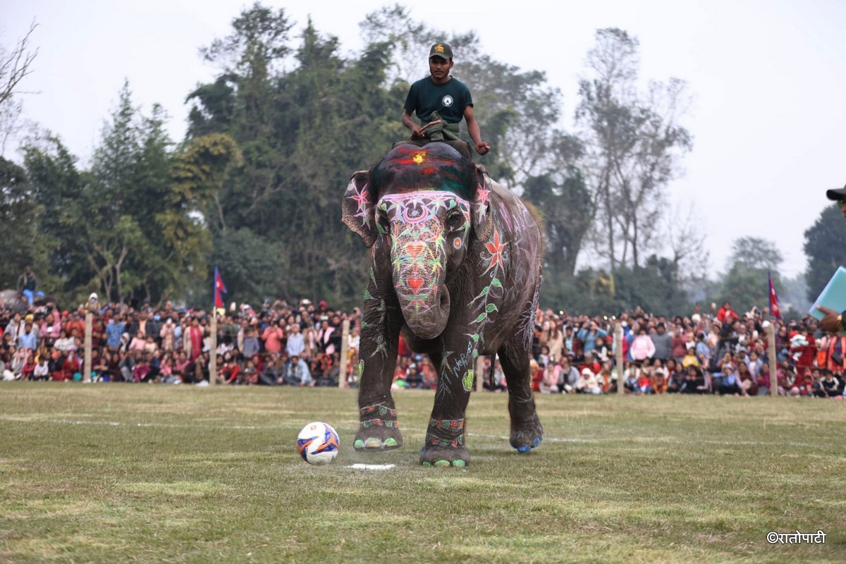 Elephent Football_NPL (11)
