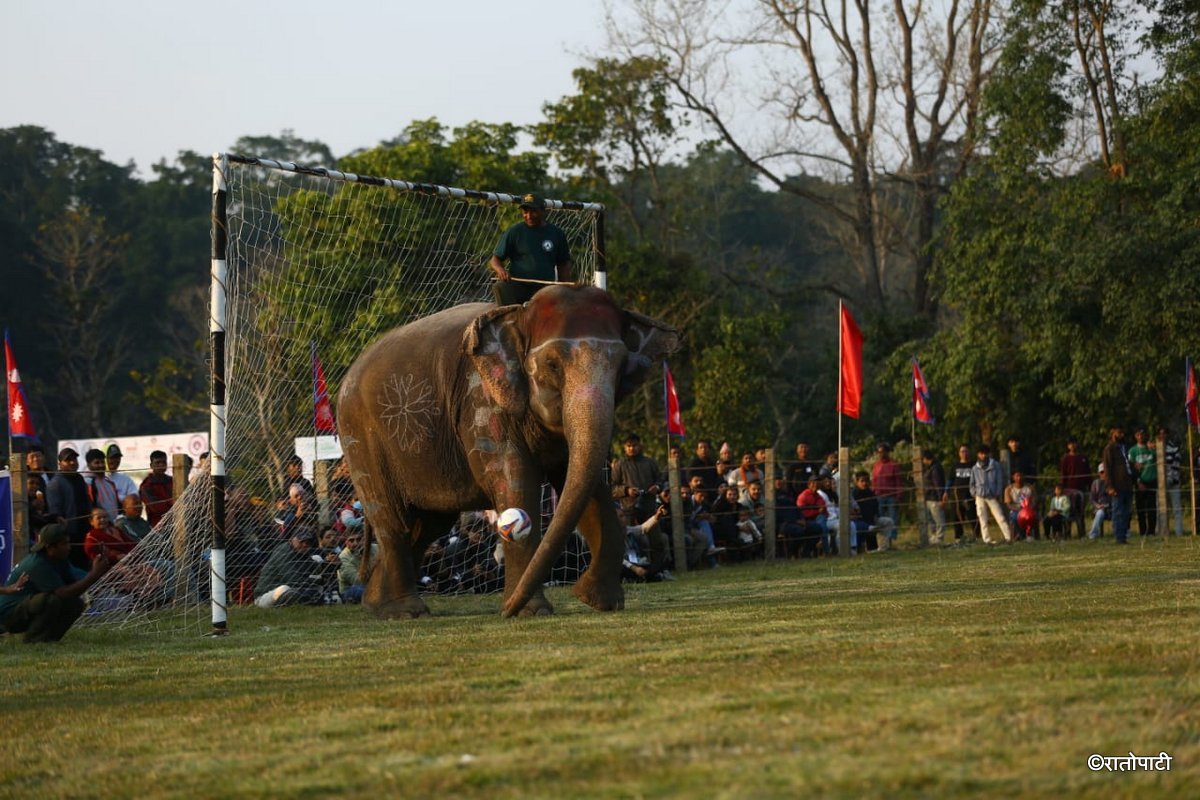 Elephent Football_NPL (5)