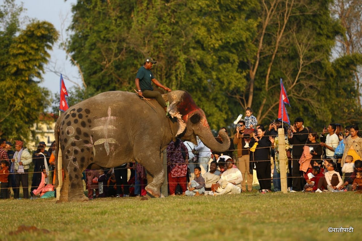 Elephent Football_NPL (6)