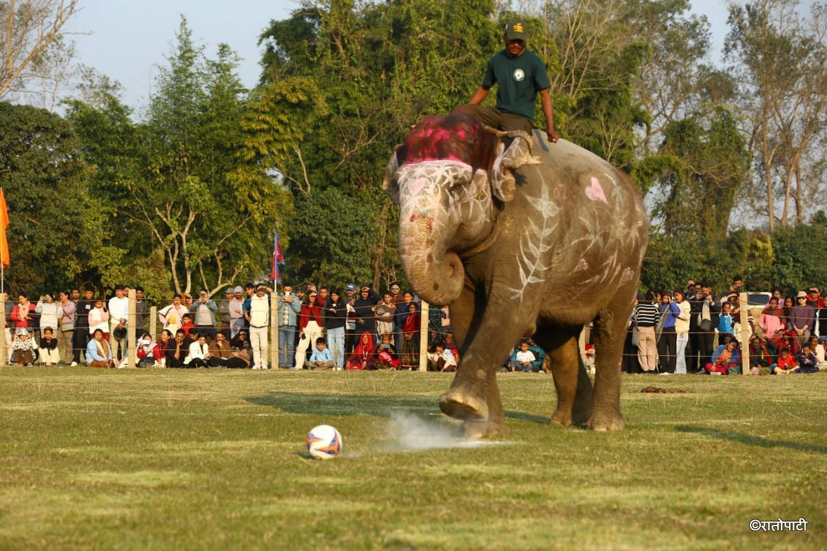 Elephent Football_NPL (8)