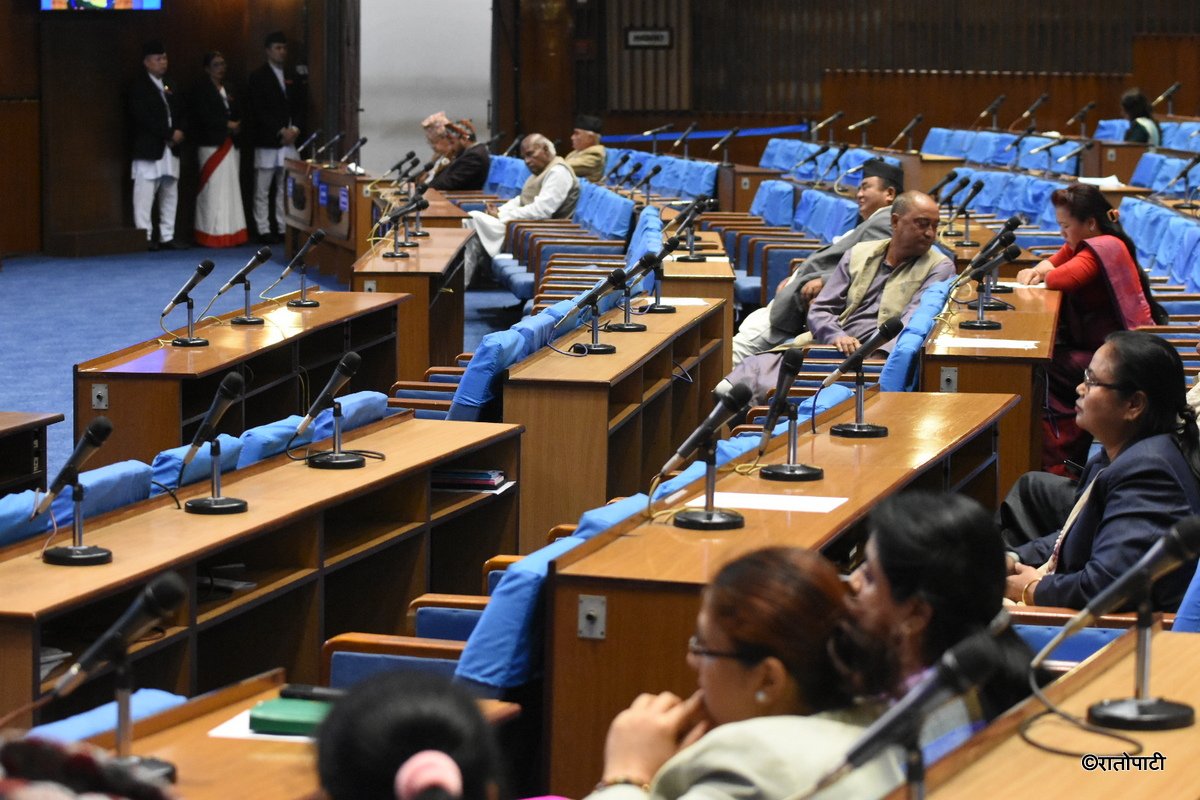 empty parliament (11)