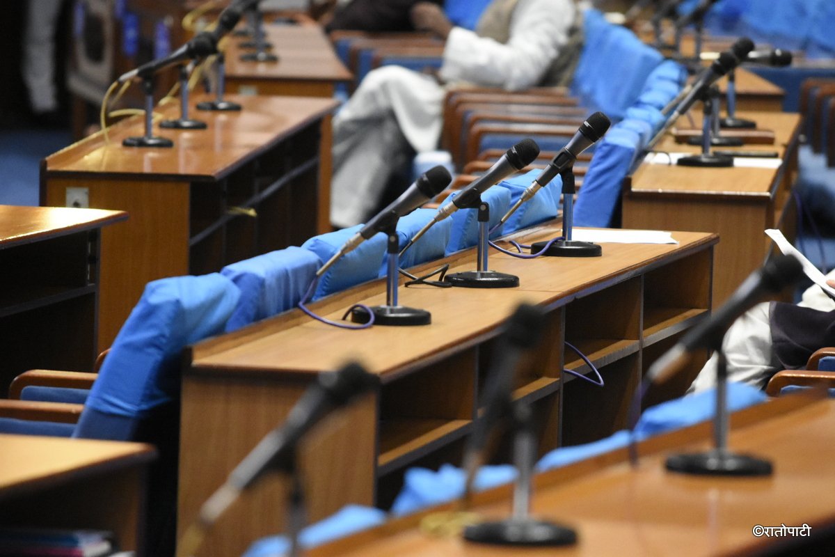empty parliament (4)
