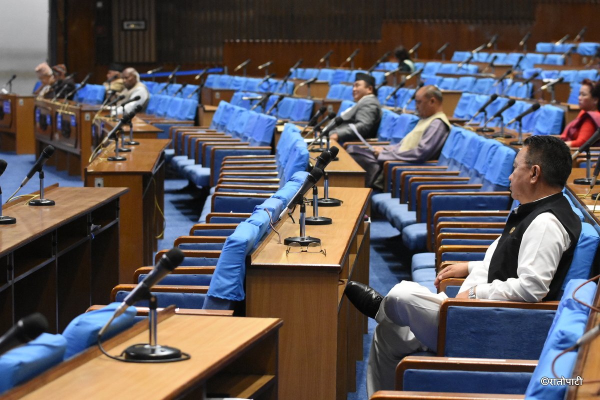empty parliament (6)
