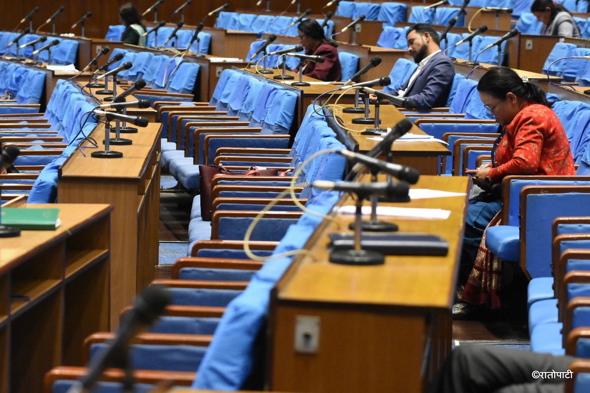empty parliament (7)