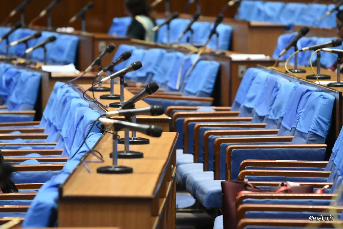 empty parliament (9)