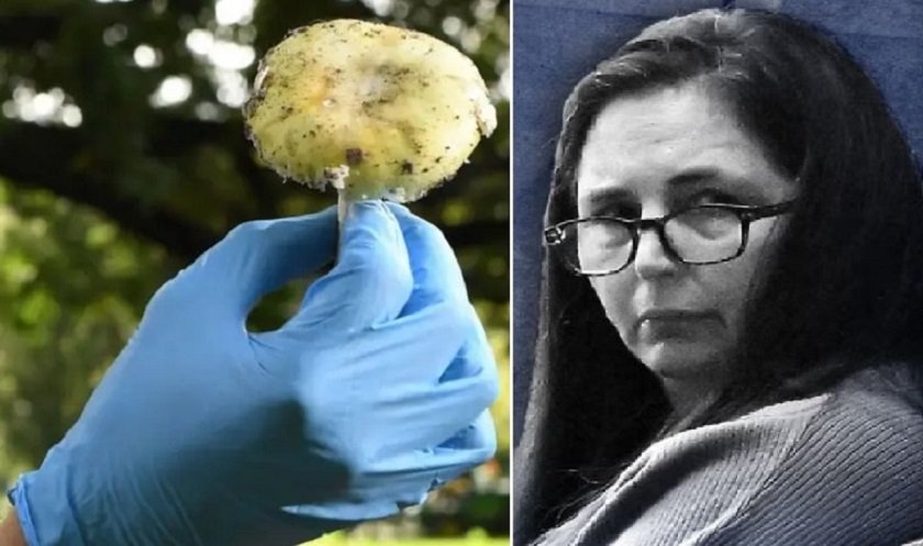 पूर्वश्रीमानको परिवारलाई विषालु च्याउ खुवाएर हत्या गरेको मुद्दामा दोषी ठहर