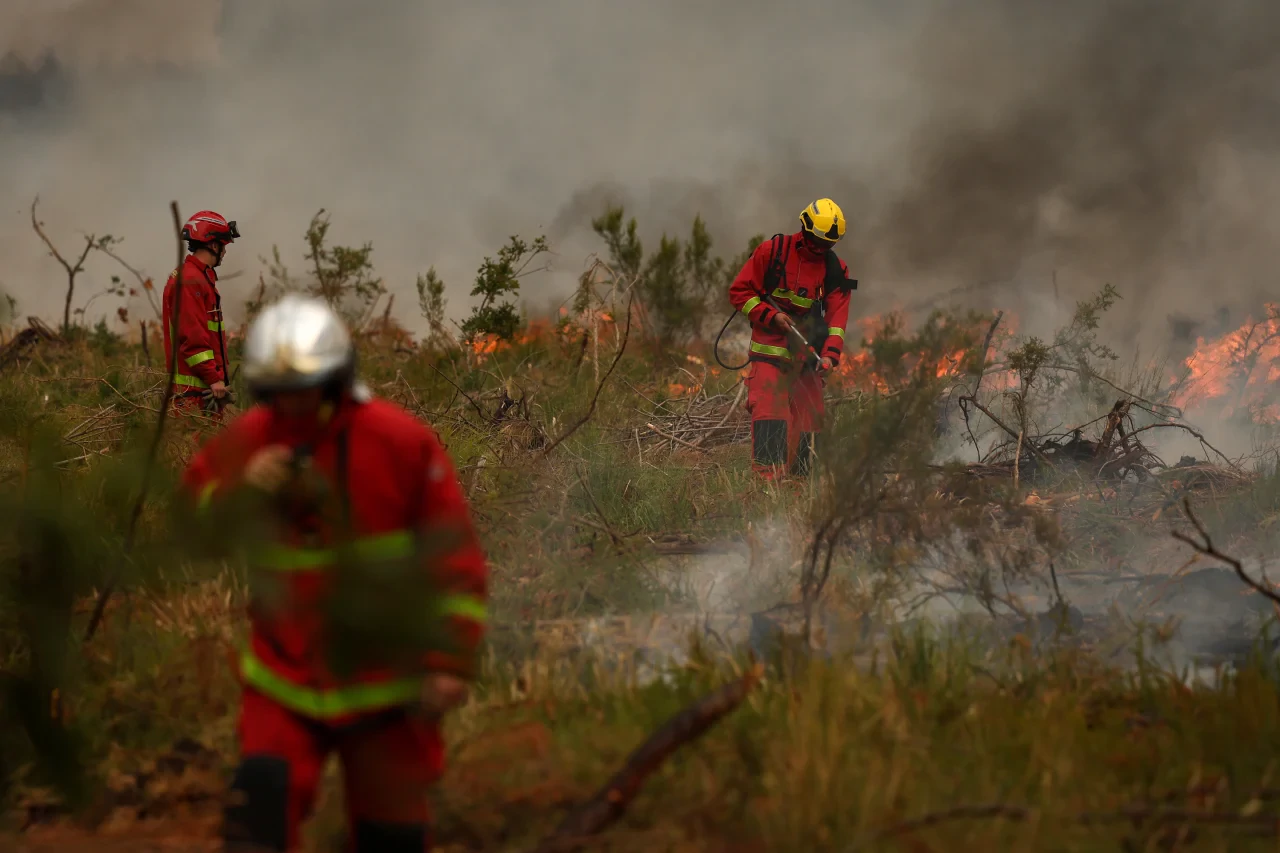 europe forest fire (1)
