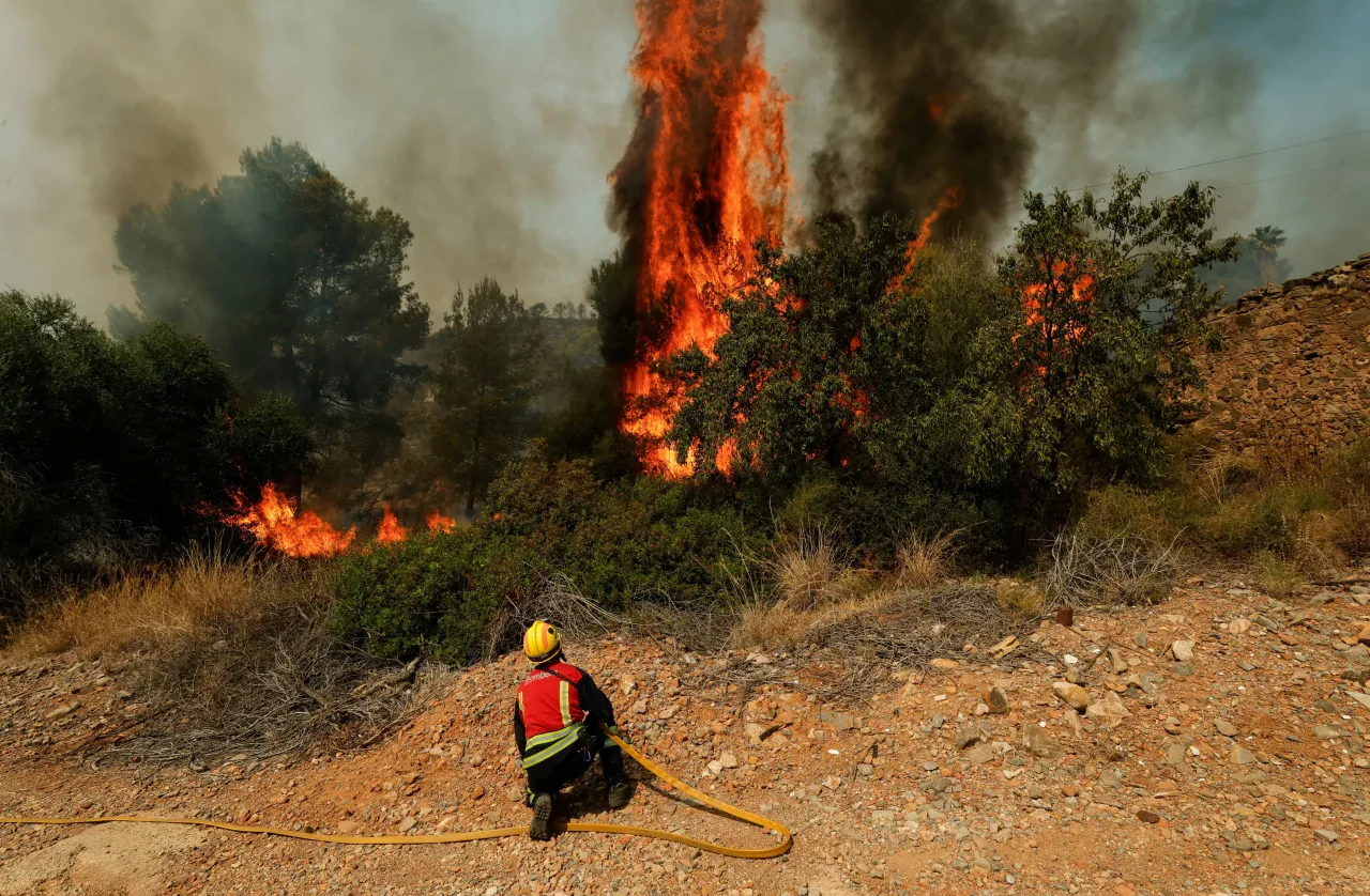europe forest fire (2)