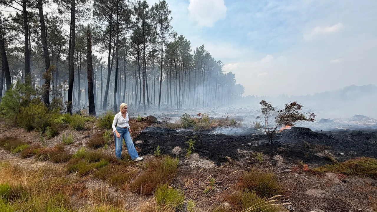 europe forest fire (3)