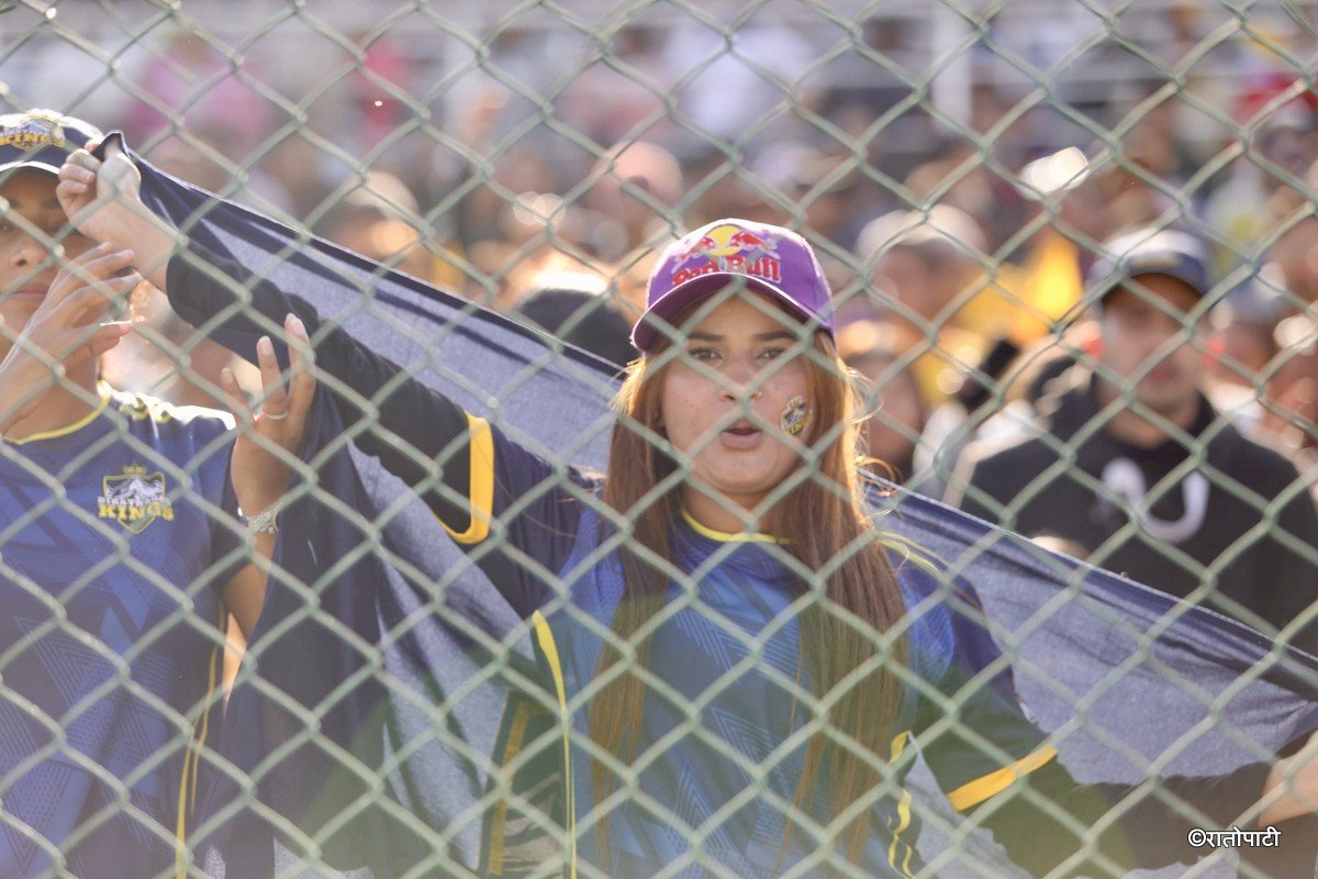 fans (3)