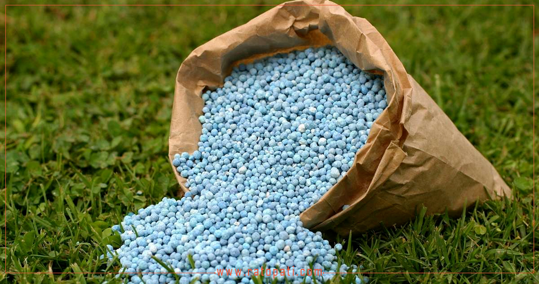 Nepal Faces Chemical Fertilizer Shortage Amidst Production Challenges