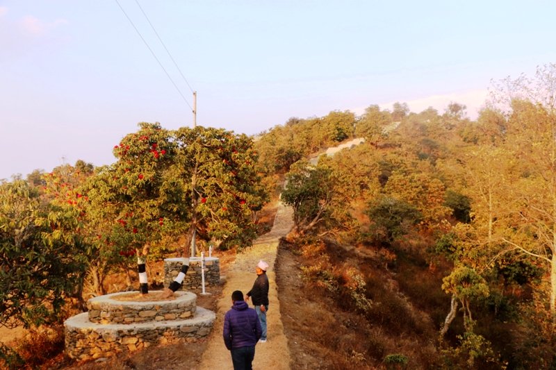 पर्यटकका रोजाइमा पर्दै भोजपुरको डाग्बुङ पदमार्ग
