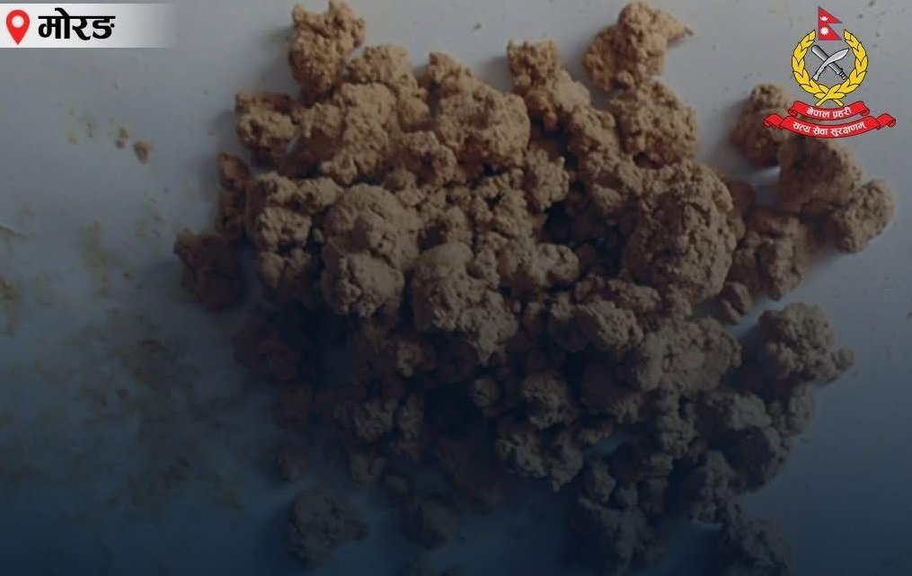 Two Held with Brown Sugar in Urlabari, Morang