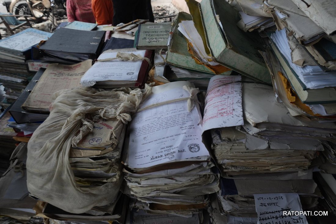 file sarbochcha (12)