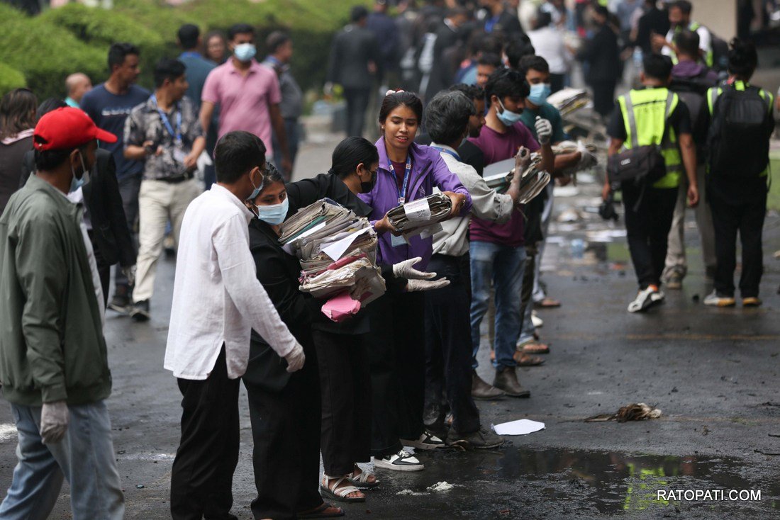 file sarbochcha (9)