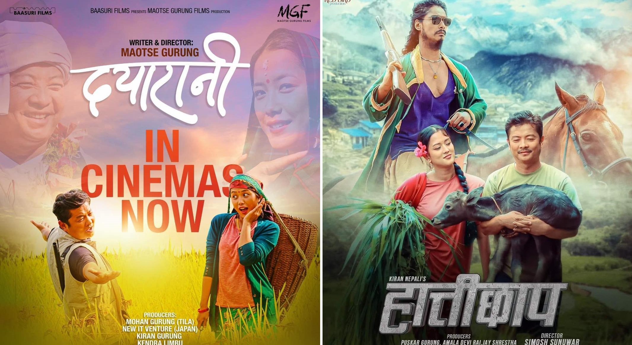 एक महिनापछि हलमा नयाँ फिल्म : ‘दयारानी’सँग भिड्दै ‘हात्तीछाप’