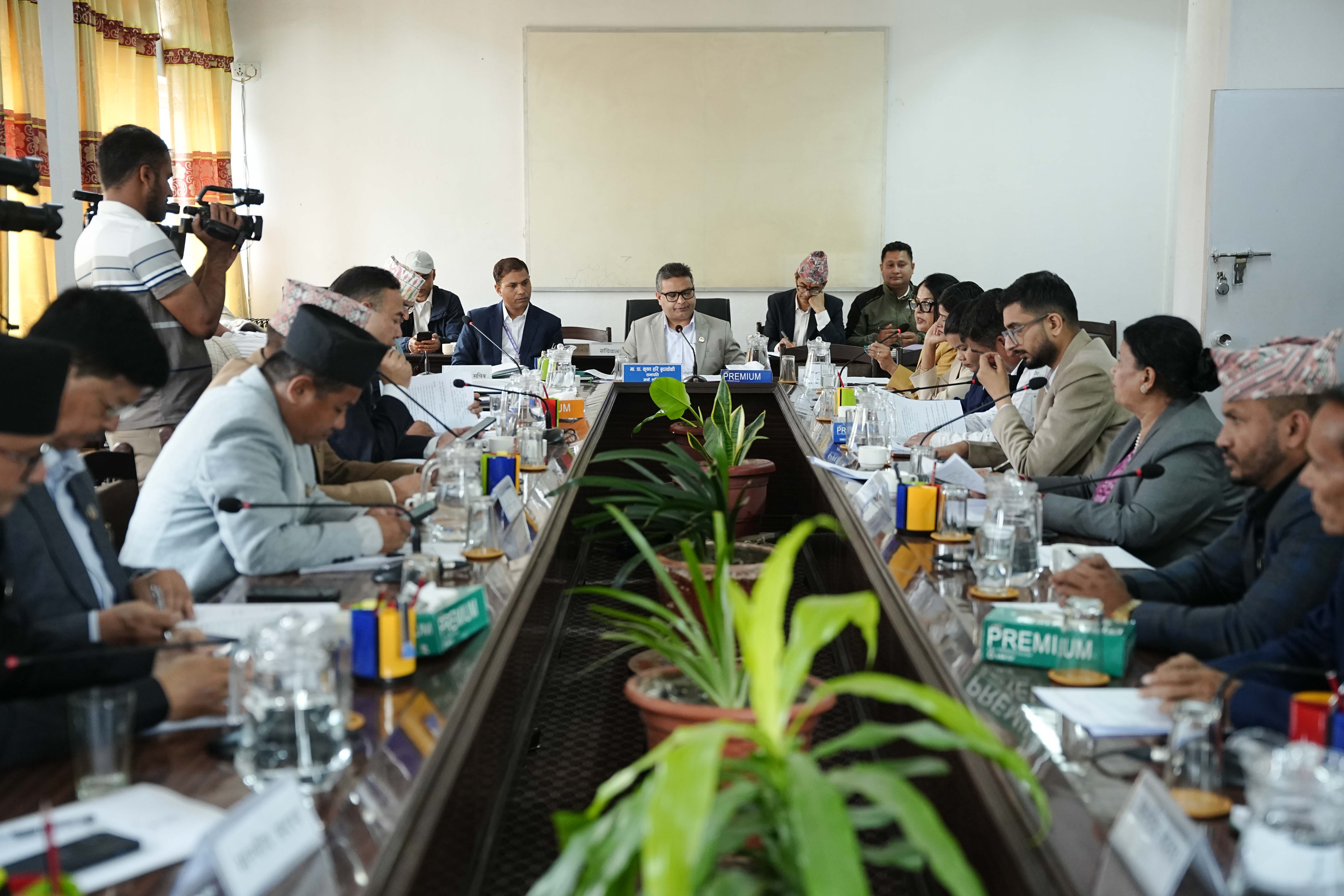   अर्थ समिति अन्तर्गतका ४ वटा उपसमिति गठन, ६ महिनाको कार्यअवधि