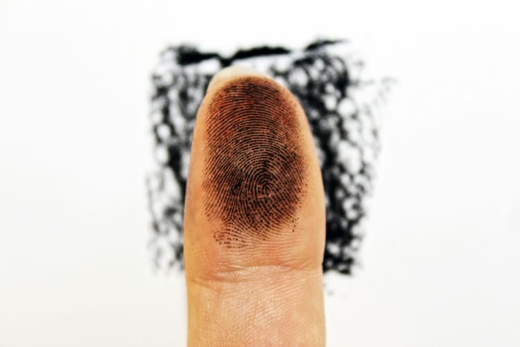 fingerprint
