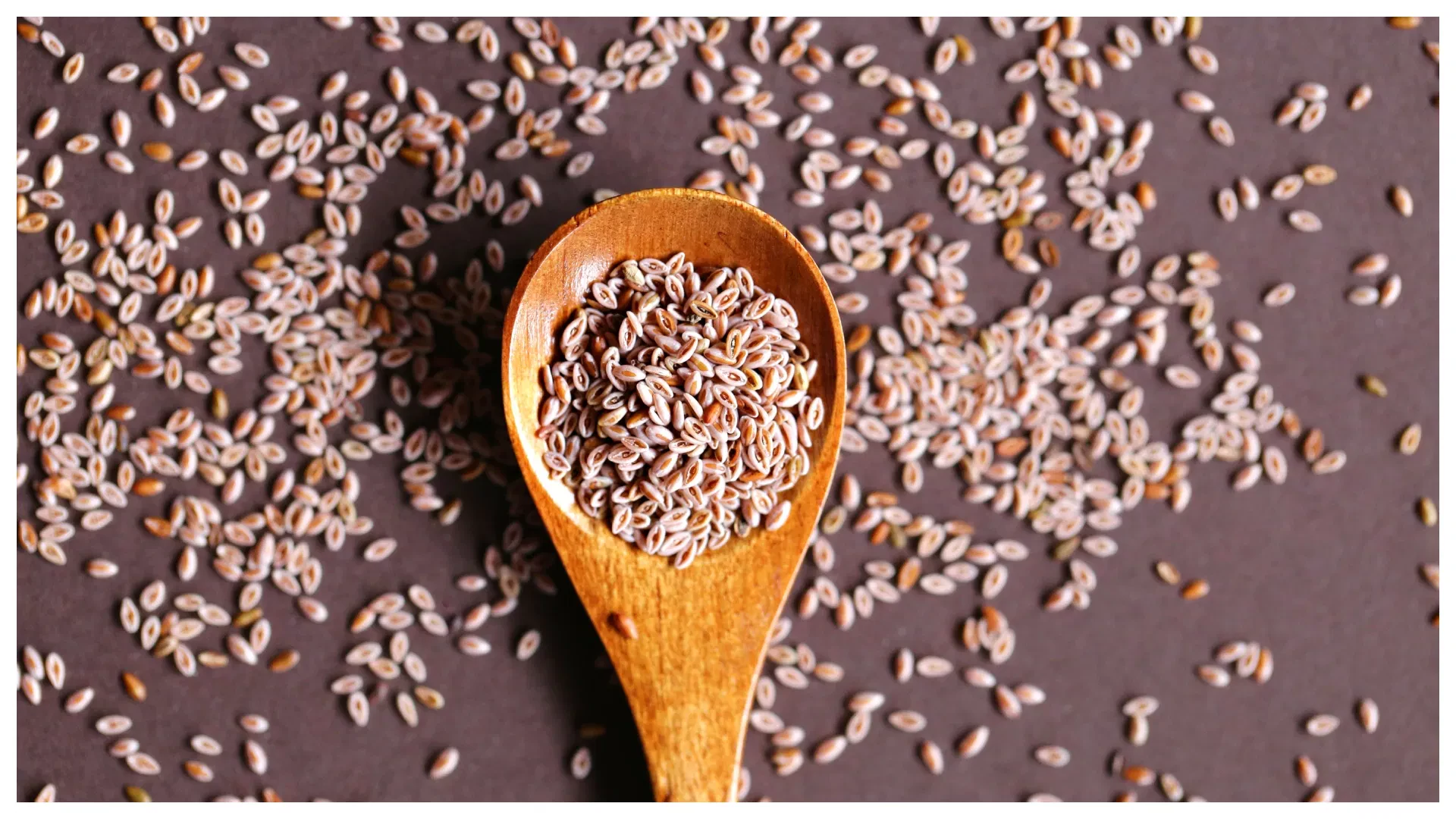flax-seeds-alsi_3a490f78484084dcd2bbd2e2645b92bb