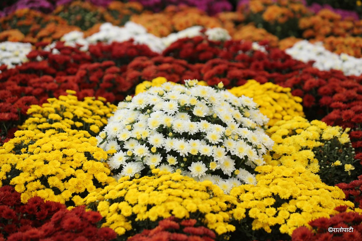 27th Flora Expo Kicks Off in Kathmandu with Focus on Modernization and Employment