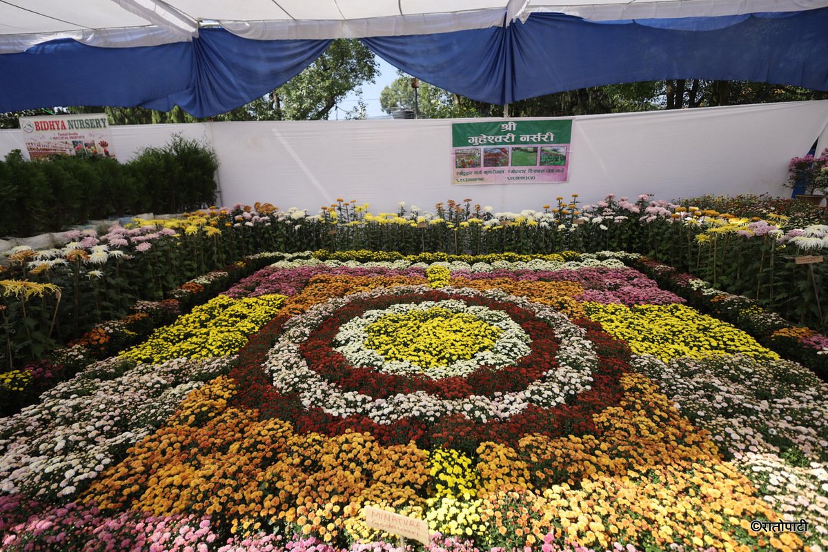 flower (2)