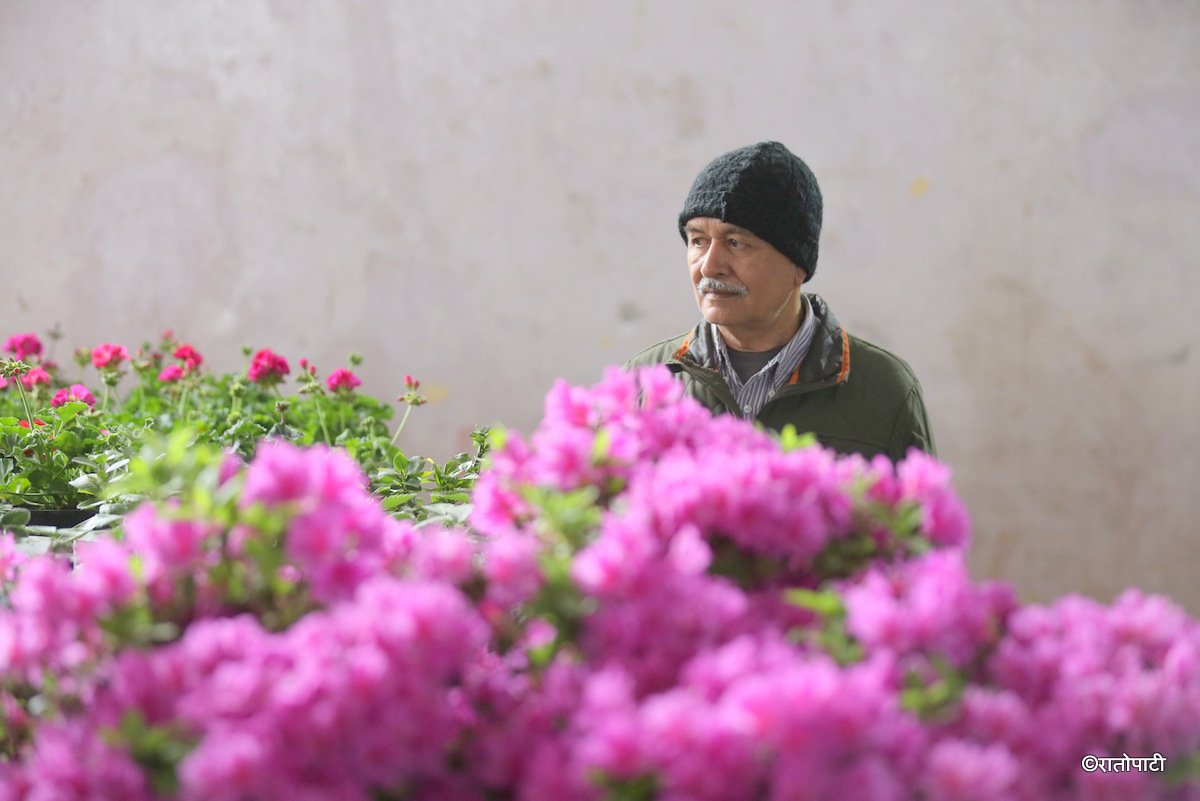flower expo (15)