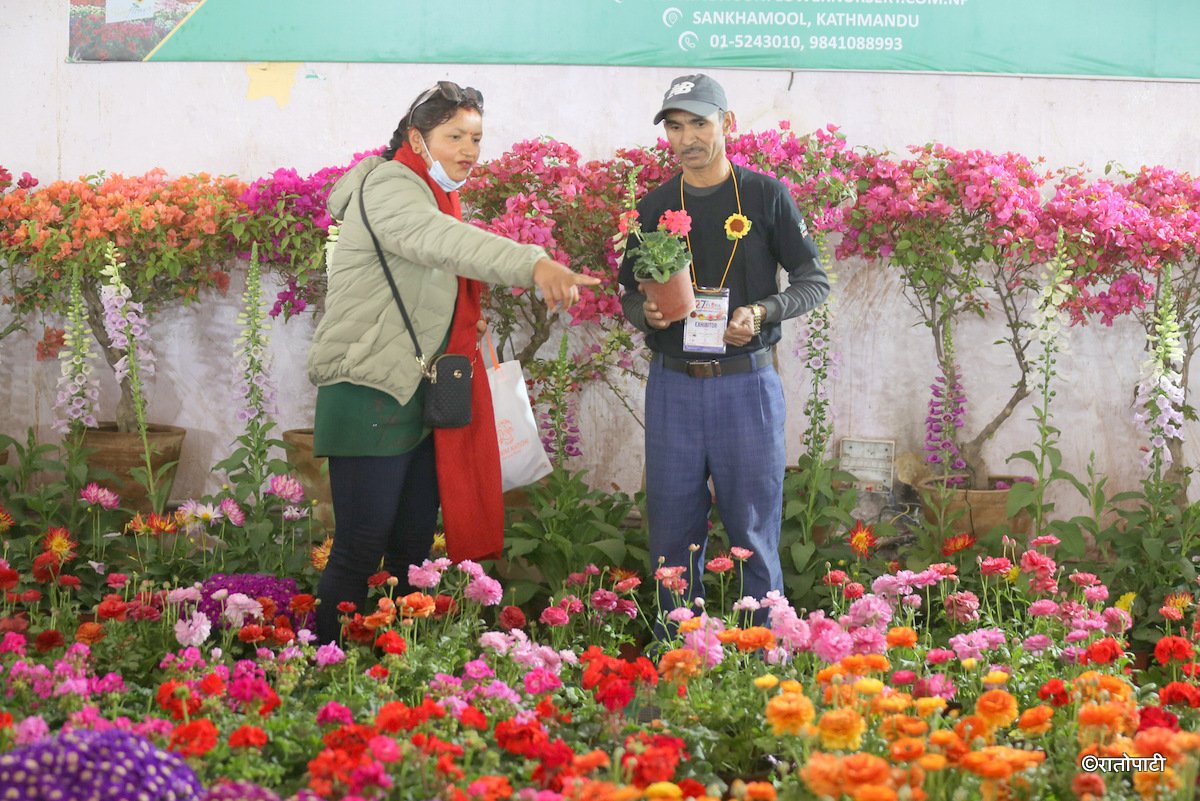 flower expo (16)