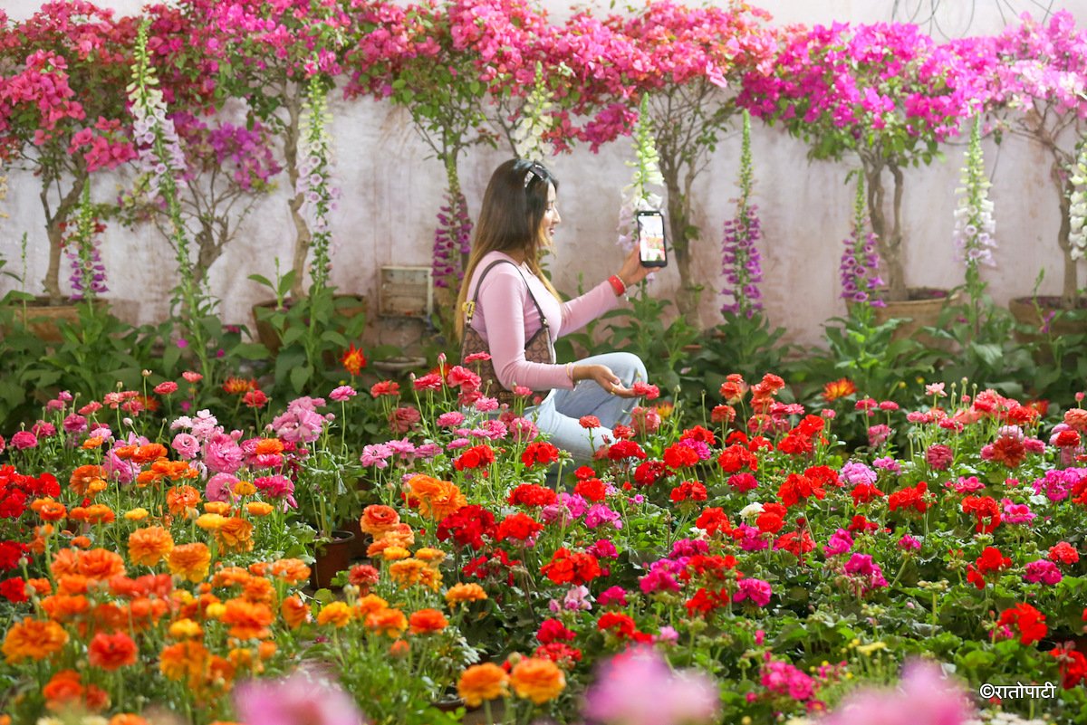 flower expo (19)