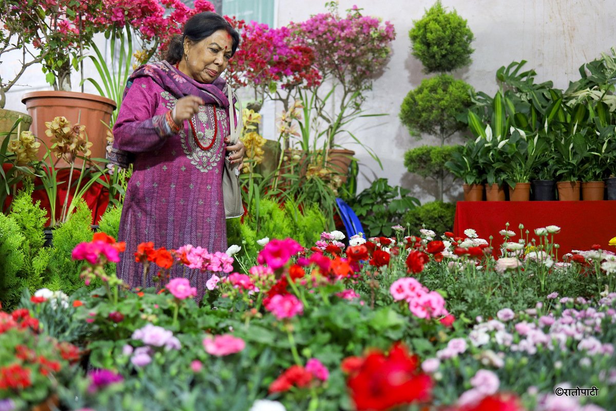 flower expo (2)