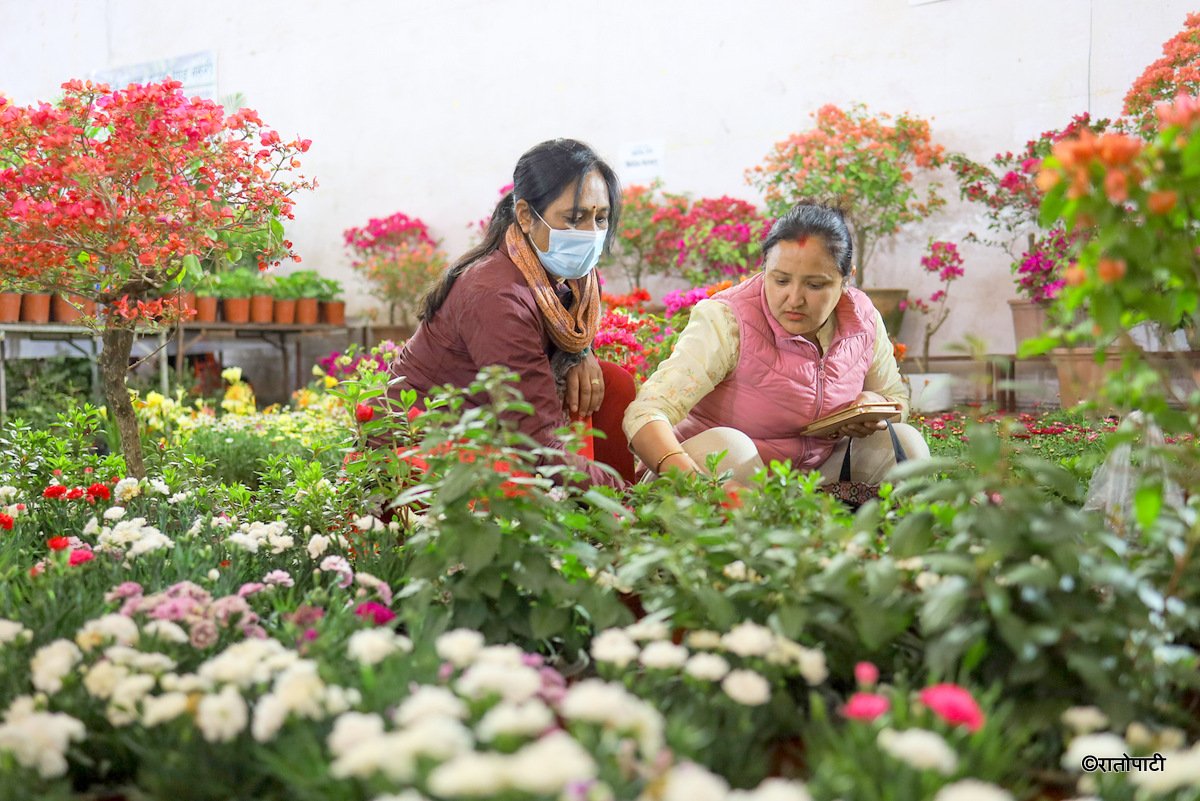 flower expo (3)