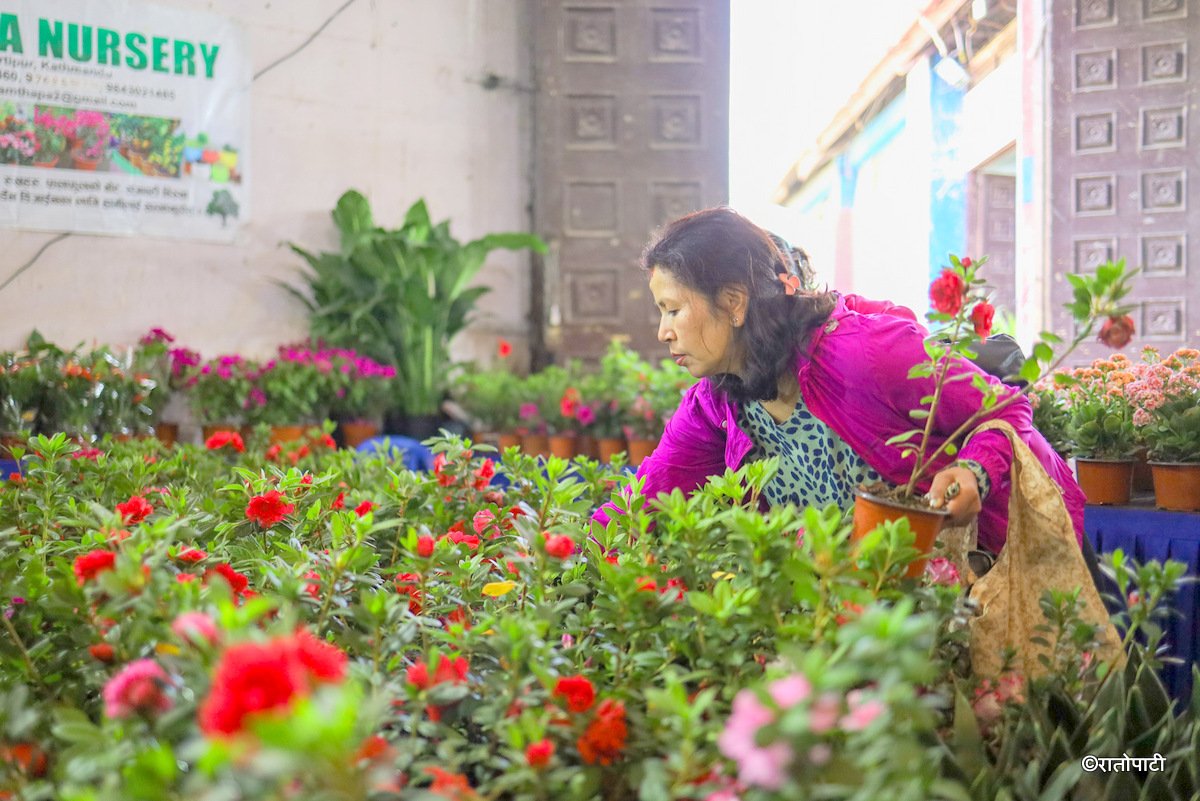 flower expo (9)