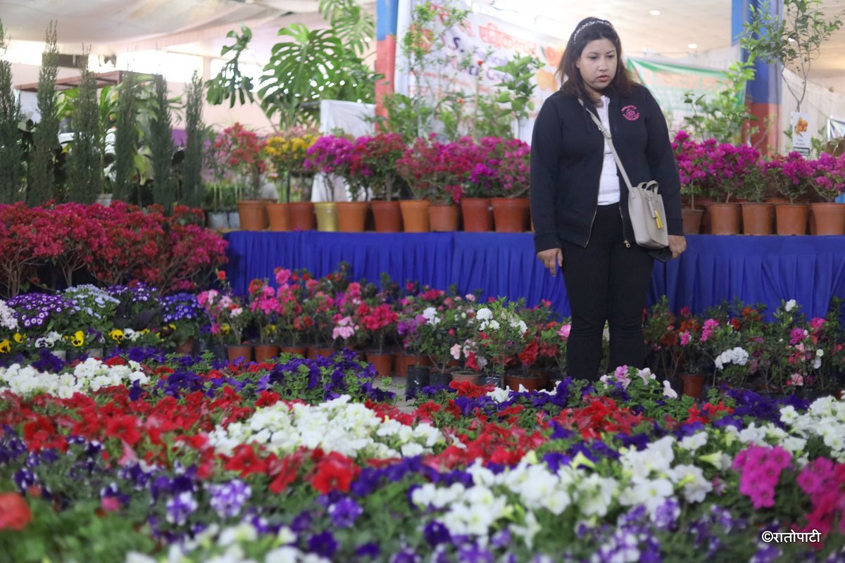 flower expo (9)