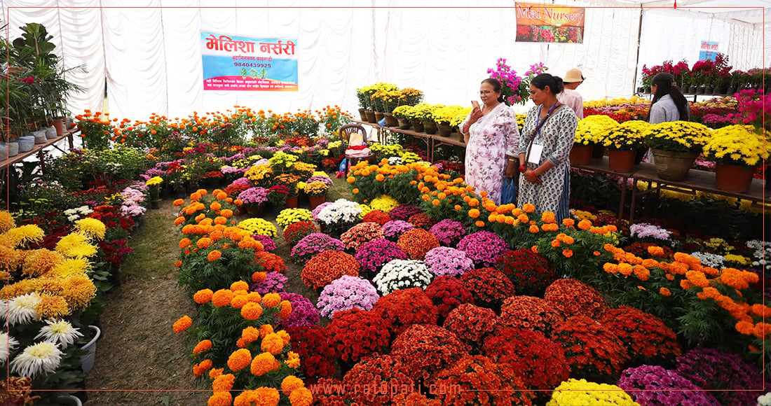 ‘रोपेर फूल गोदावरी, सजाऔँ घर आँगन वरिपरि’