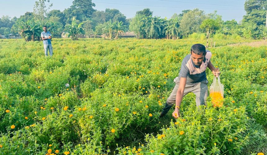   आर्थिक उपार्जन गर्न फूल व्यवसाय