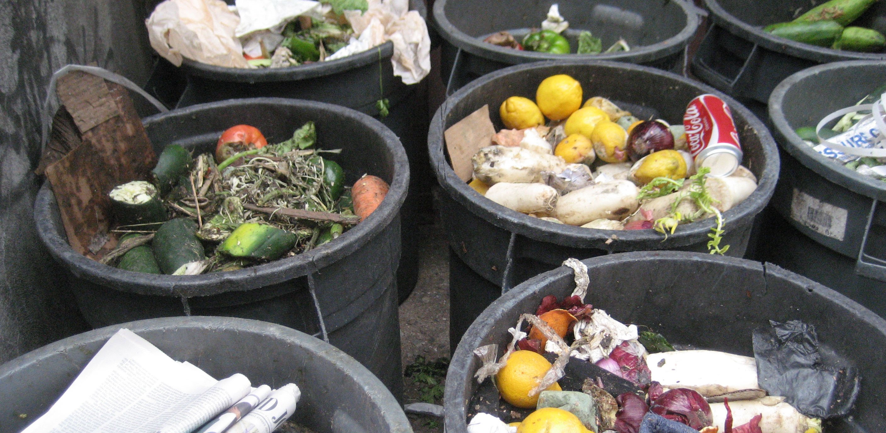 Food waste