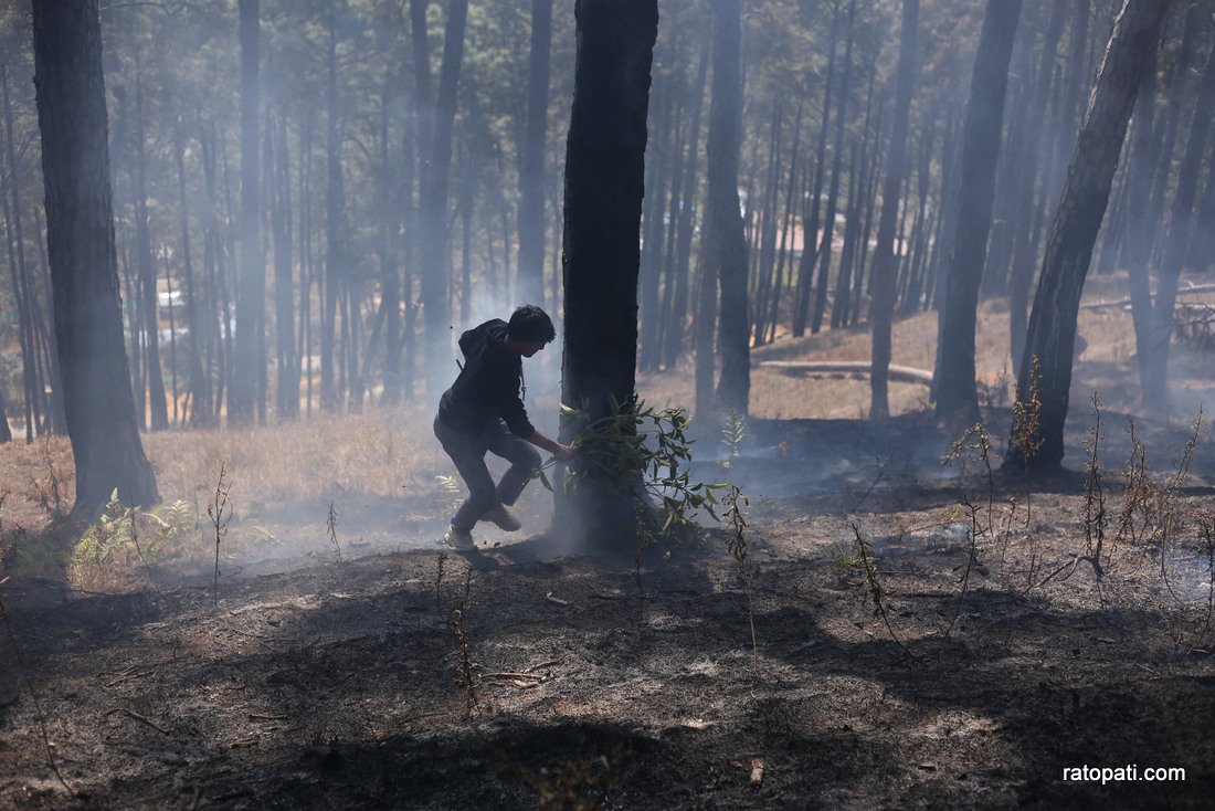 Forest fire in Godhabari.-867