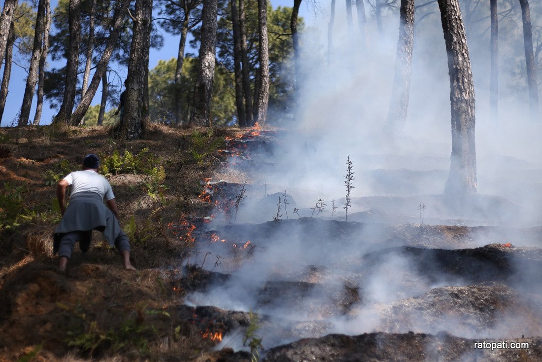 Forest fire in Godhabari.-868