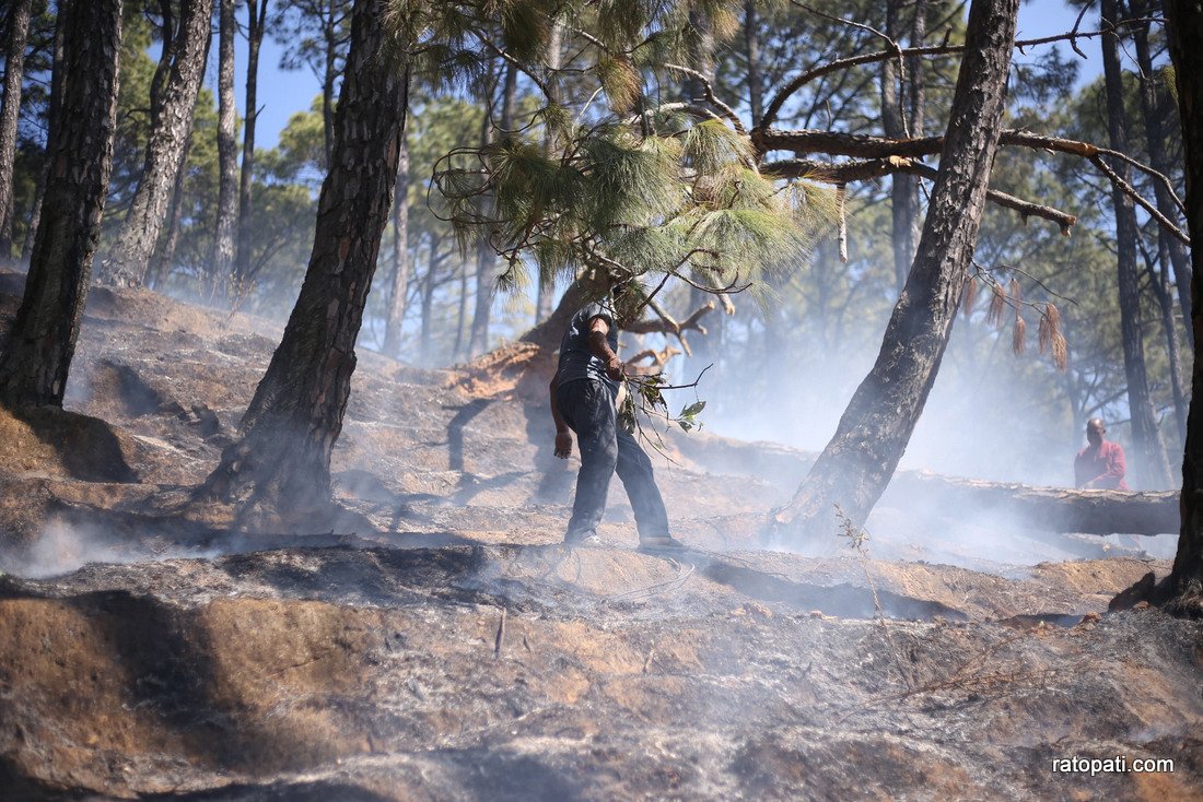 Forest fire in Godhabari.-869