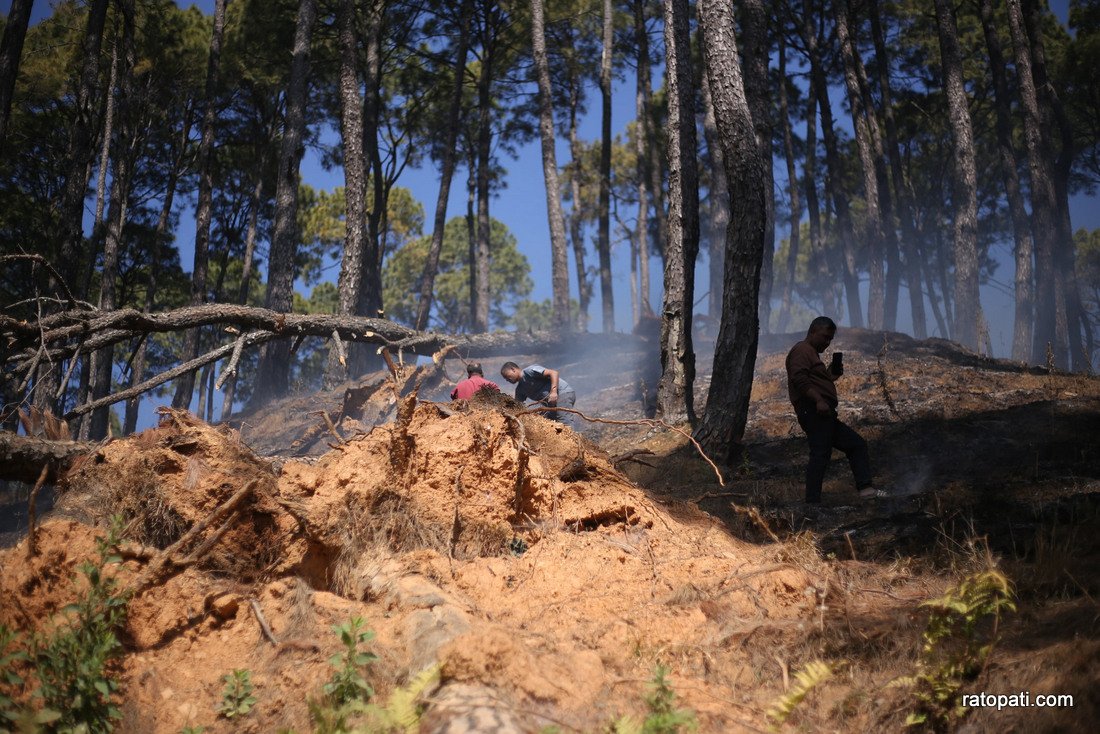 Forest fire in Godhabari.-870