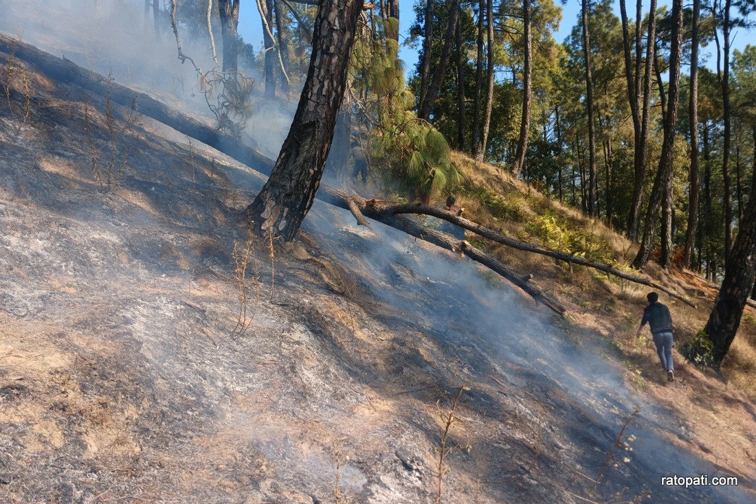 Forest fire in Godhabari.-871