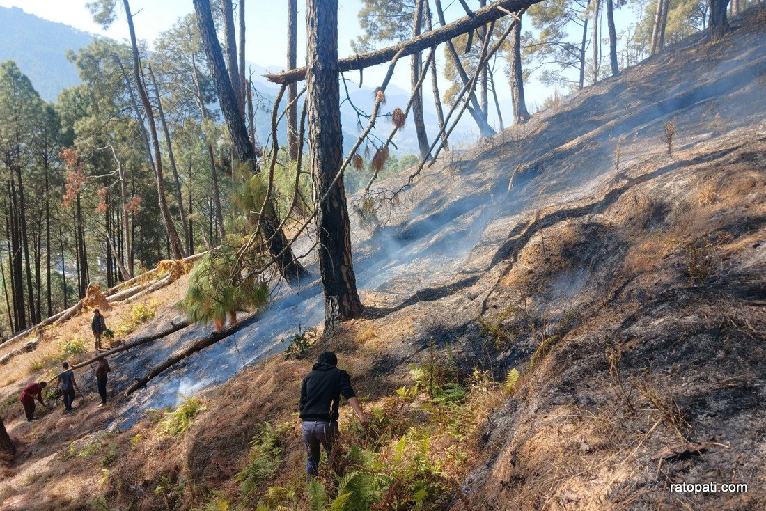 Forest fire in Godhabari.-872