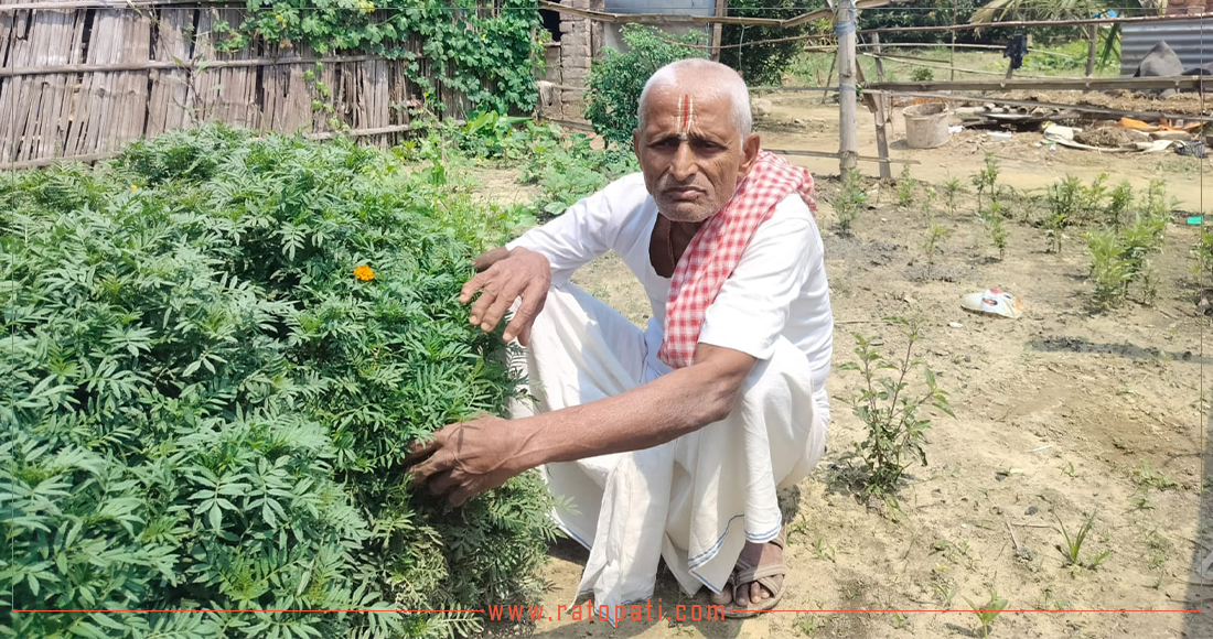   मधेसमा माली समुदायको पुर्ख्यौली पेसा सङ्कटमा