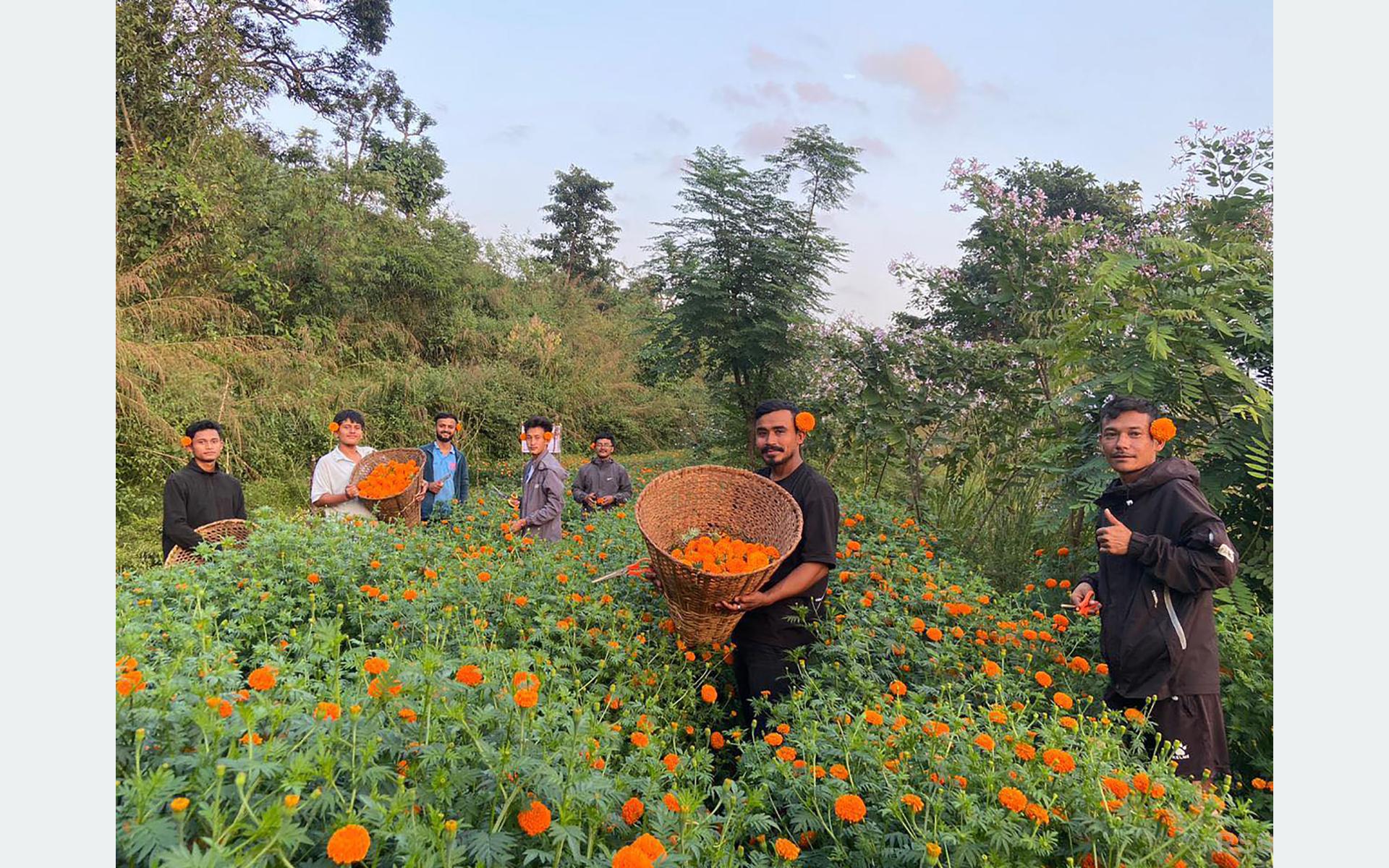 तिहारलाई लक्षित गरी एक लाखको फूल बिक्री