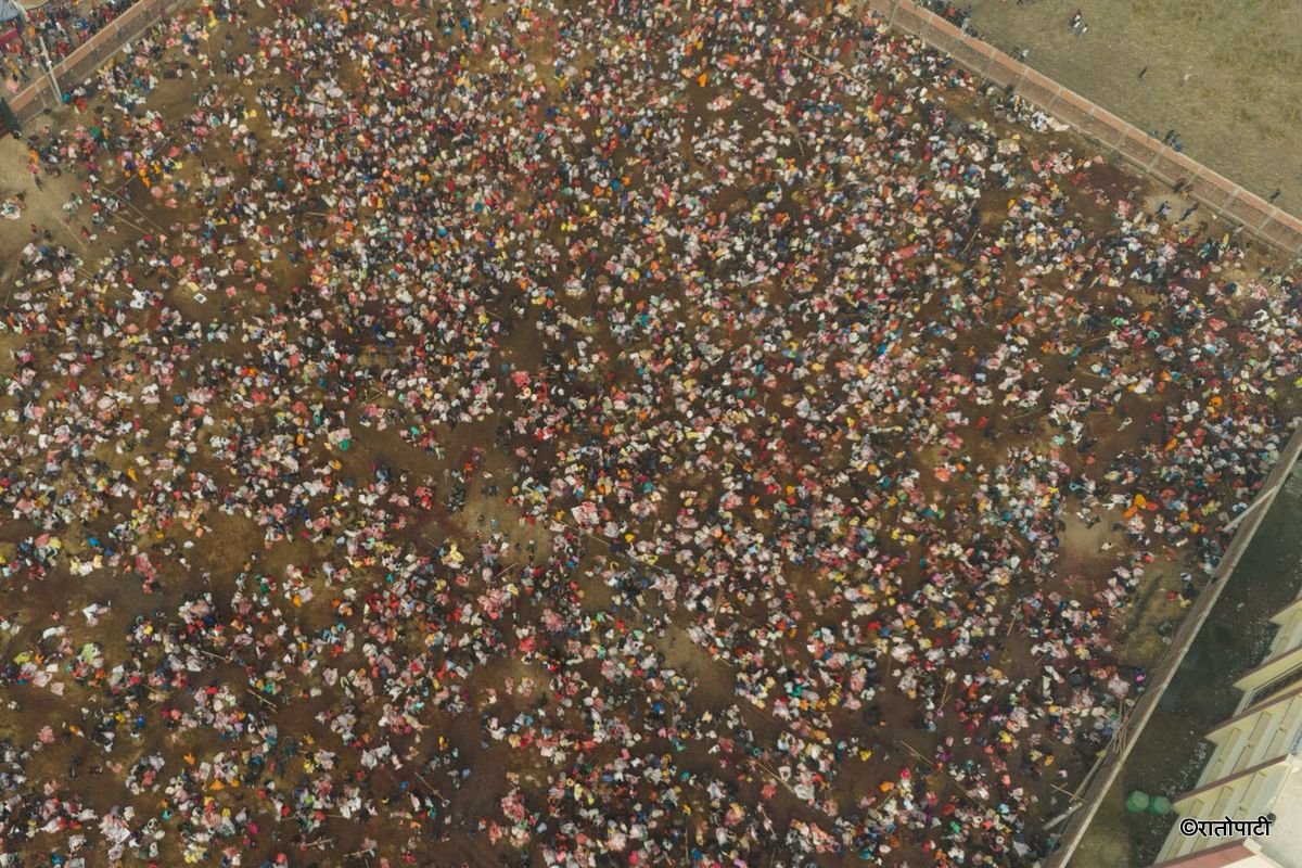 gadhimai mela (20)