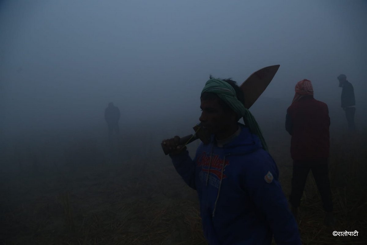 gadhimai mela (4)