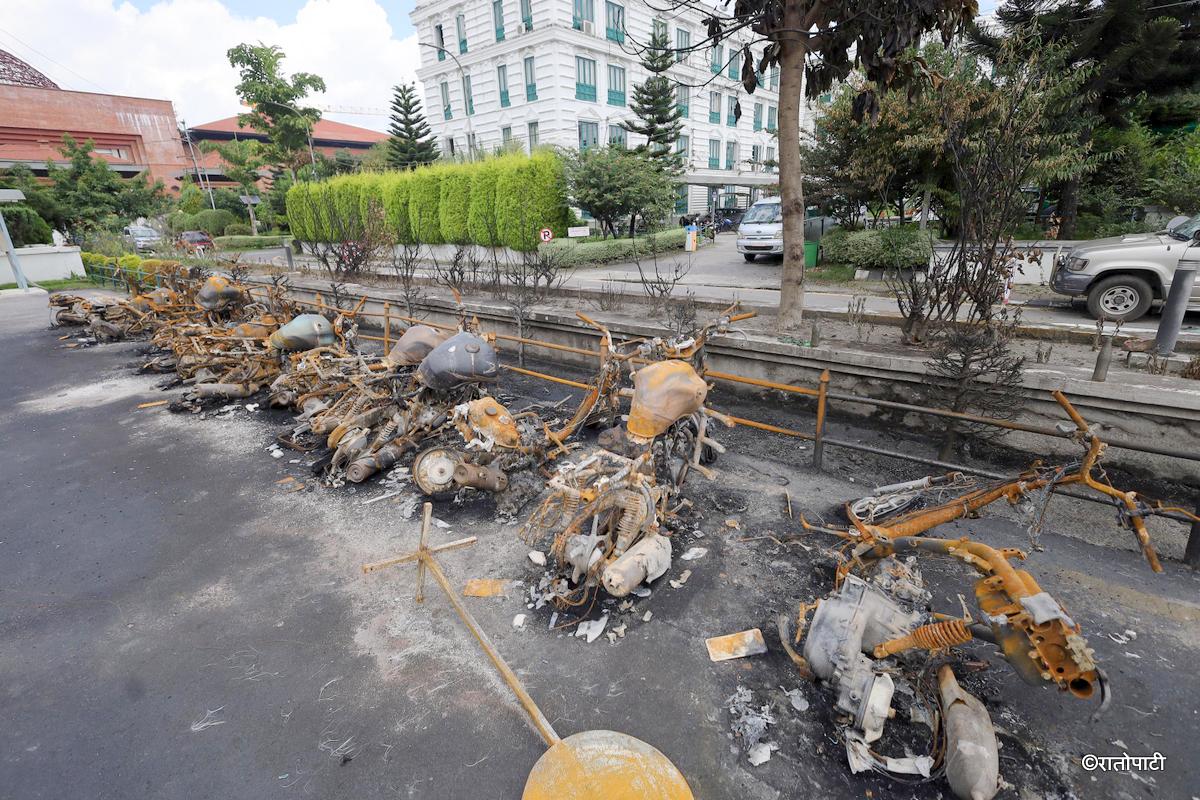 gadi burnt (14)