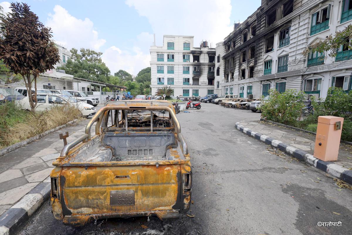 gadi burnt (15)