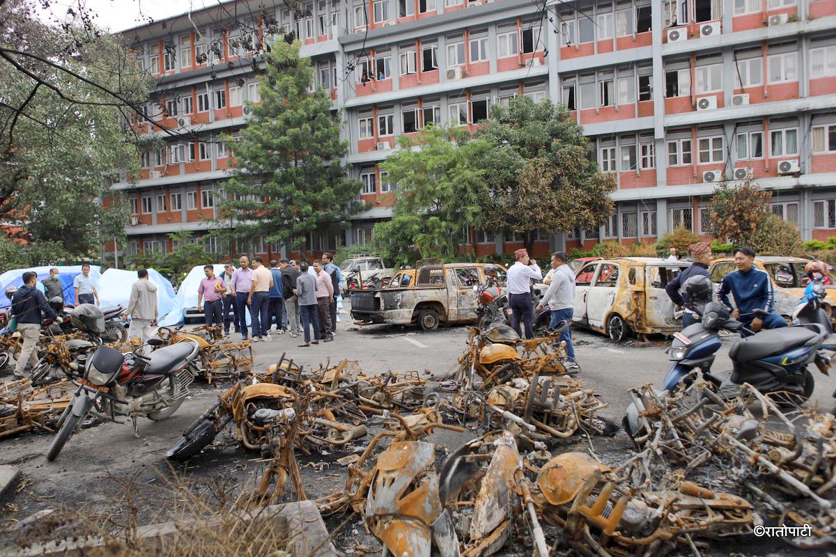 gadi burnt (3)