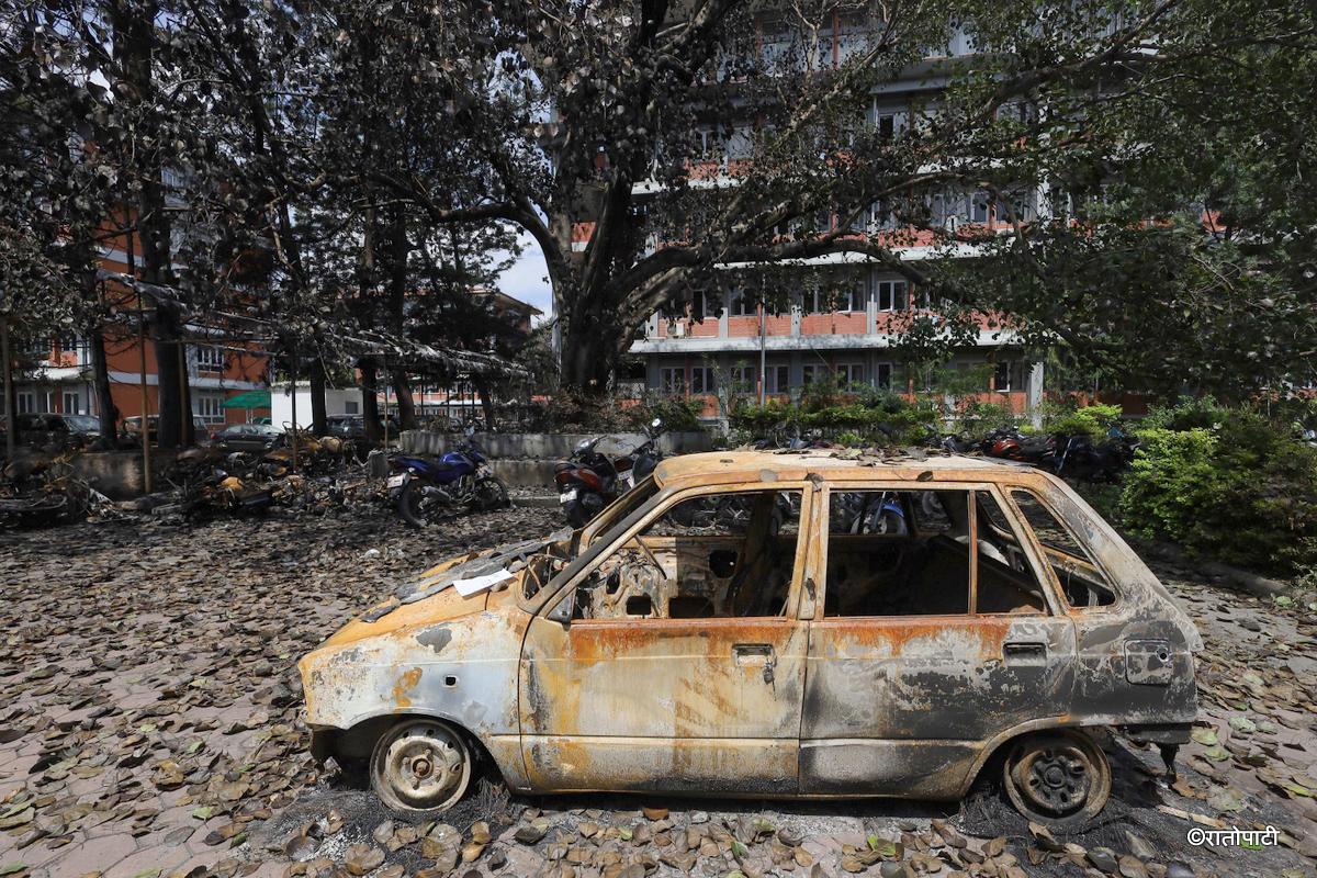 gadi burnt (7)