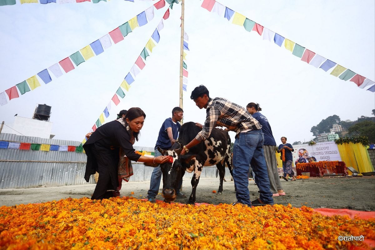 gai goru puja (2)